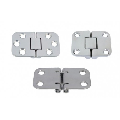 Stainless Steel 316 Drop Hinge